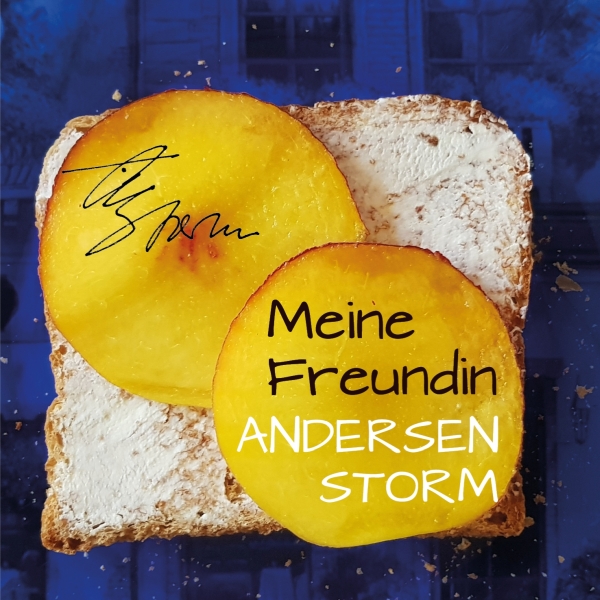 Song "Meine Freundin" von Andersen Storm