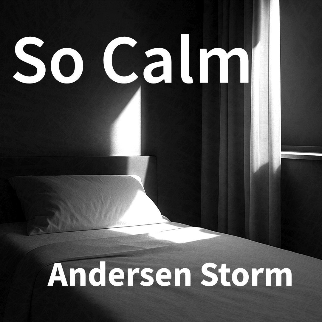 Song Lyrics by Andersen Storm